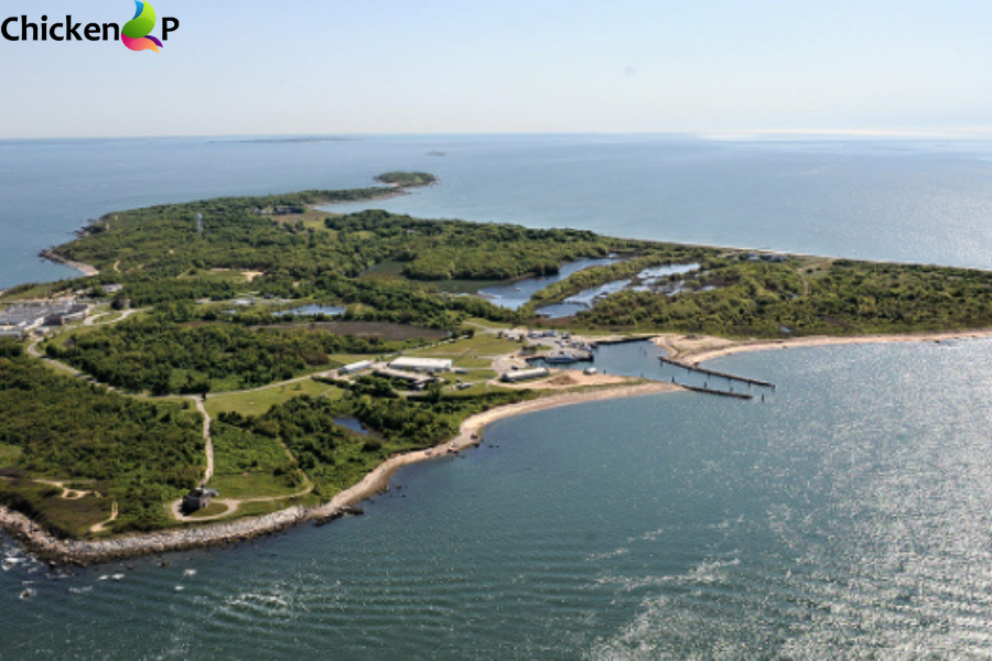 plum island southold ny 11957