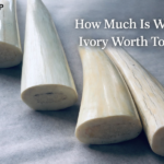 how much is walrus ivory worth today