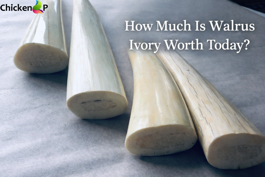 how much is walrus ivory worth today