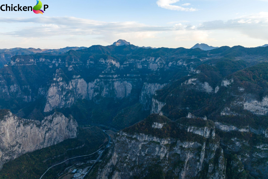 north china leopard shanxi comeback