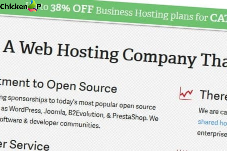 elementor pro review catswhocode