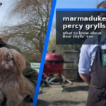 marmaduke mickey percy grylls