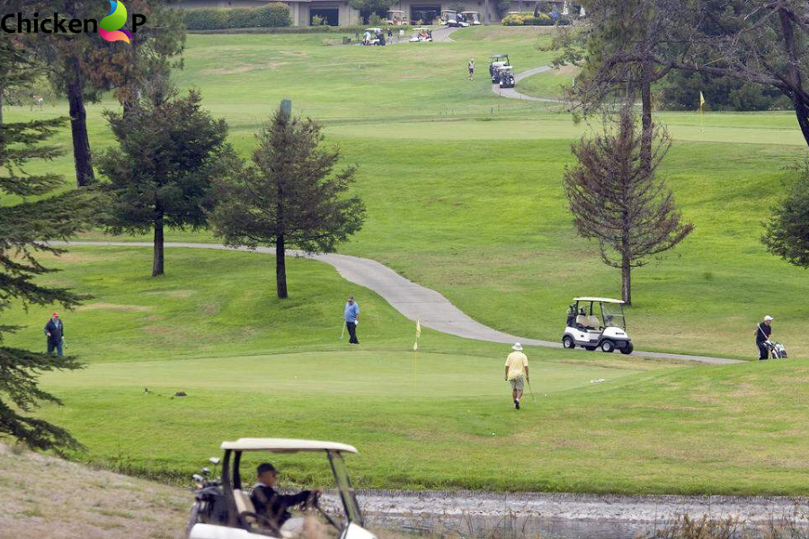 blacklake golf resort owner rob rossi
