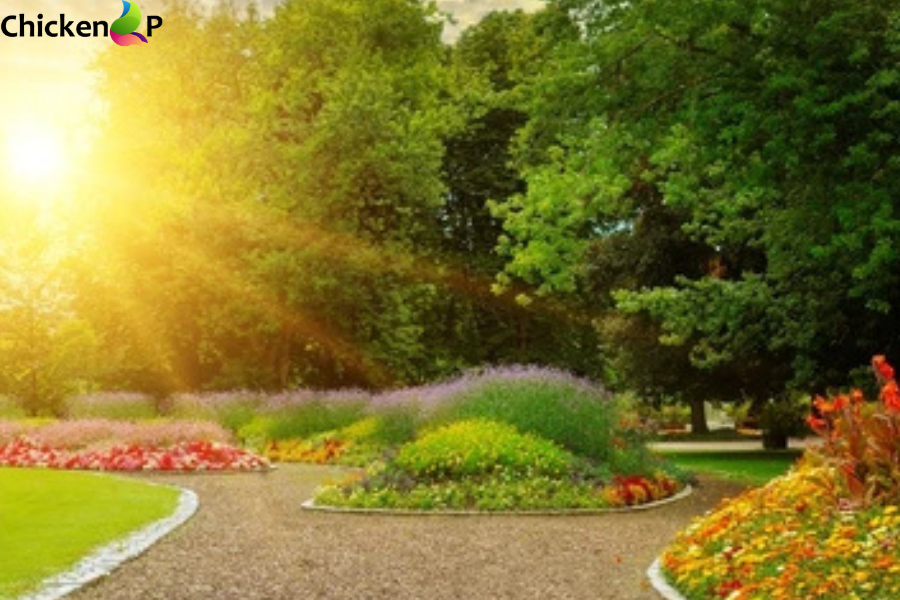 which direction should your garden face kdalandscapetion