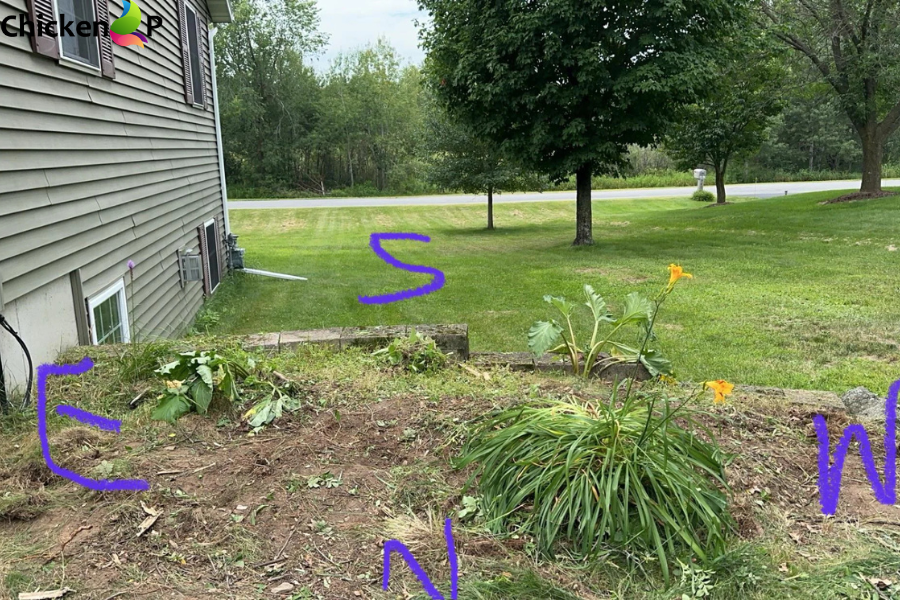 which direction should your garden face kdalandscapetion