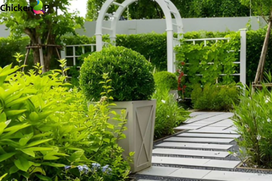 which direction should your garden face kdalandscapetion