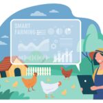 From Coop to Content: How Small Poultry Farms Are Building Profitable Brands Online